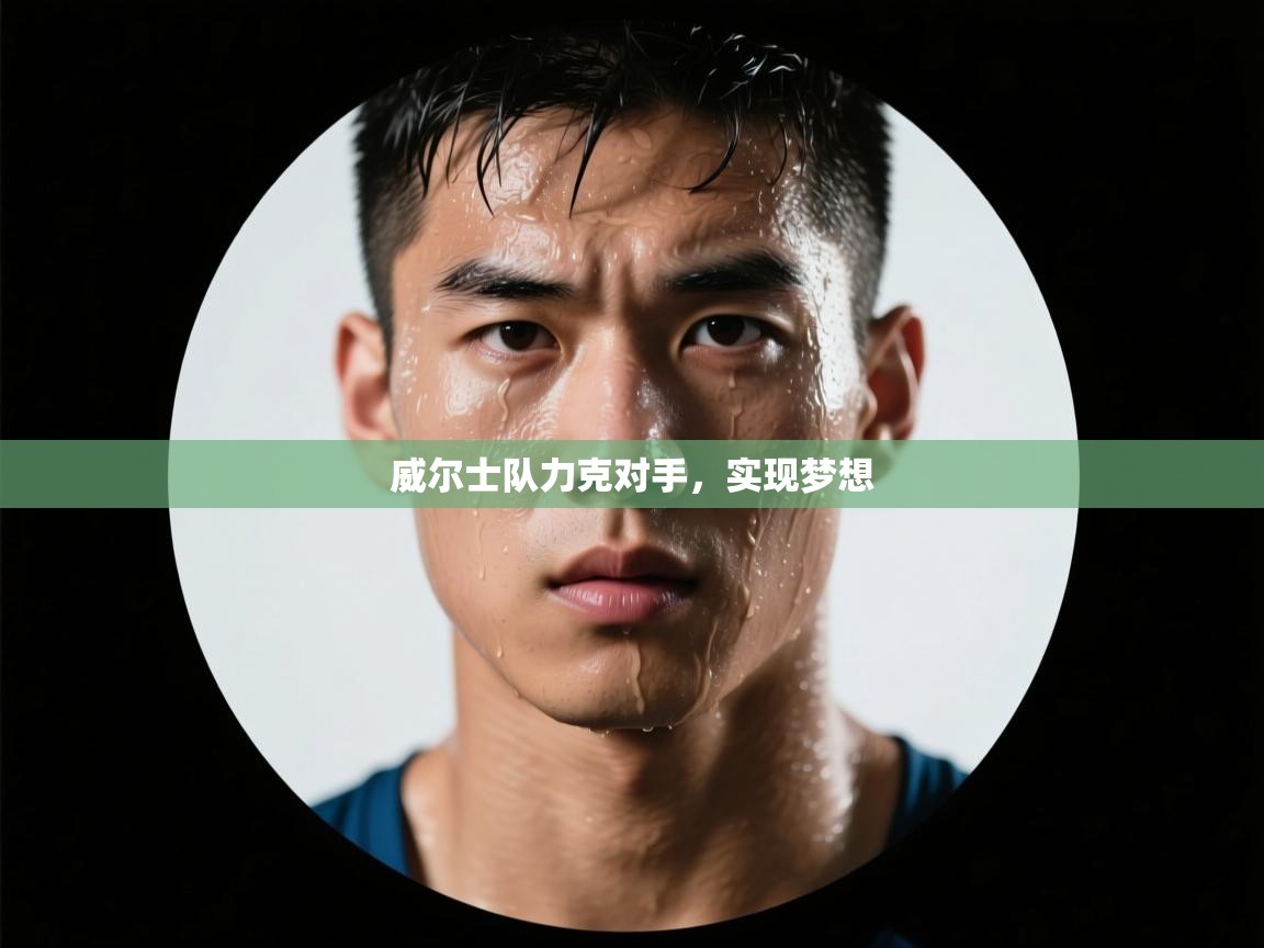 威尔士队力克对手，实现梦想