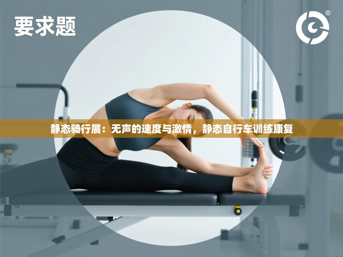 静态骑行展:无声的速度与激情,静态自行车训练康复 第2张